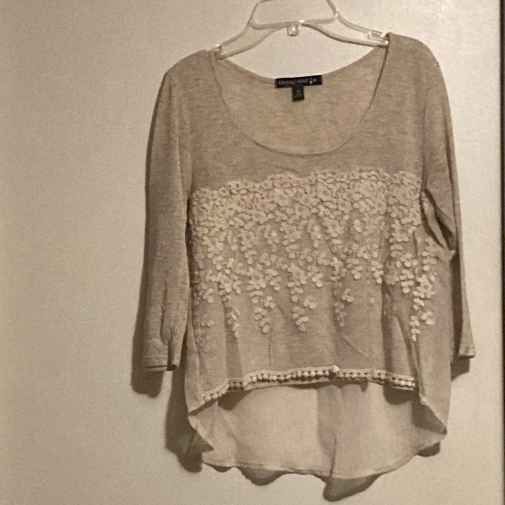 Living Doll Sheer Cropped Embroidered Long Sleeve Top